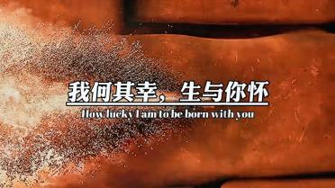 88影视